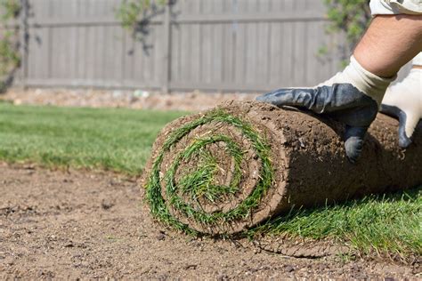 Sod Installation Services in Asheville, NC 